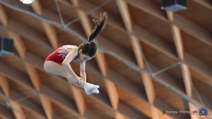 aere trampoline cup tra tum dmt ph by tomasi simone ferraro   fgi 